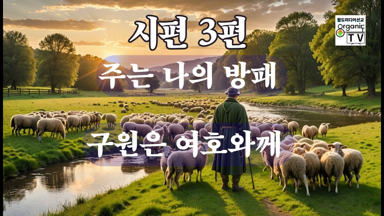 시편 3편 낭독 묵상시 | 주는 나의 방패 | 구원은 여호와께 있습니다 | 팔도미디어선교TV
