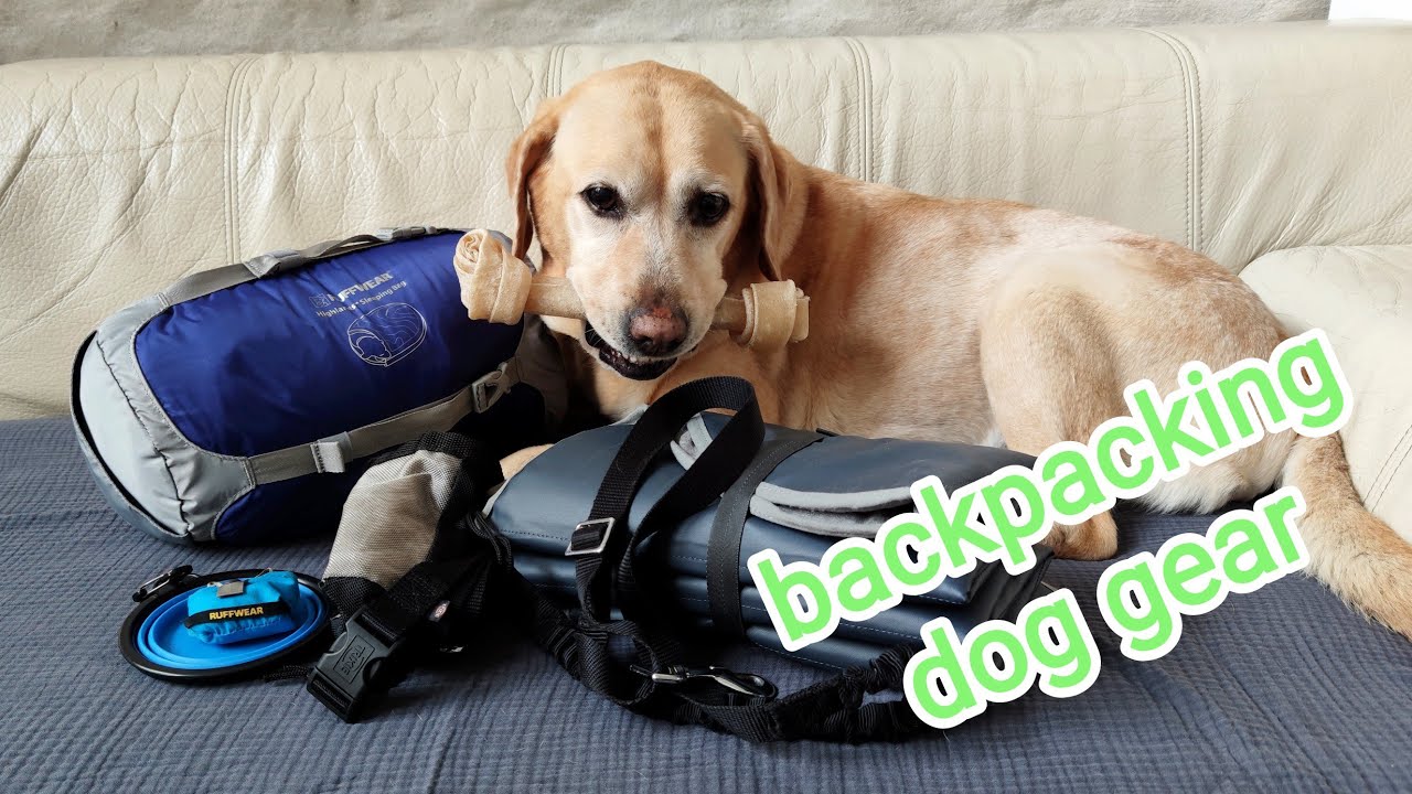 Backpacking gear review 2022: Part 1 dog stuff