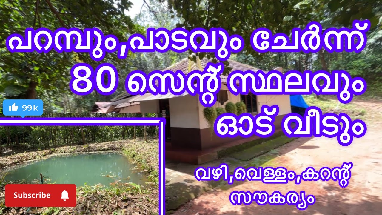 #184 #പാലക്കാട് ജില്ലയിൽ ലക്കിടി പഞ്ചായത്തിൽ #lowbudjet #palakkadproperties #പറമ്പ് #realestate 
