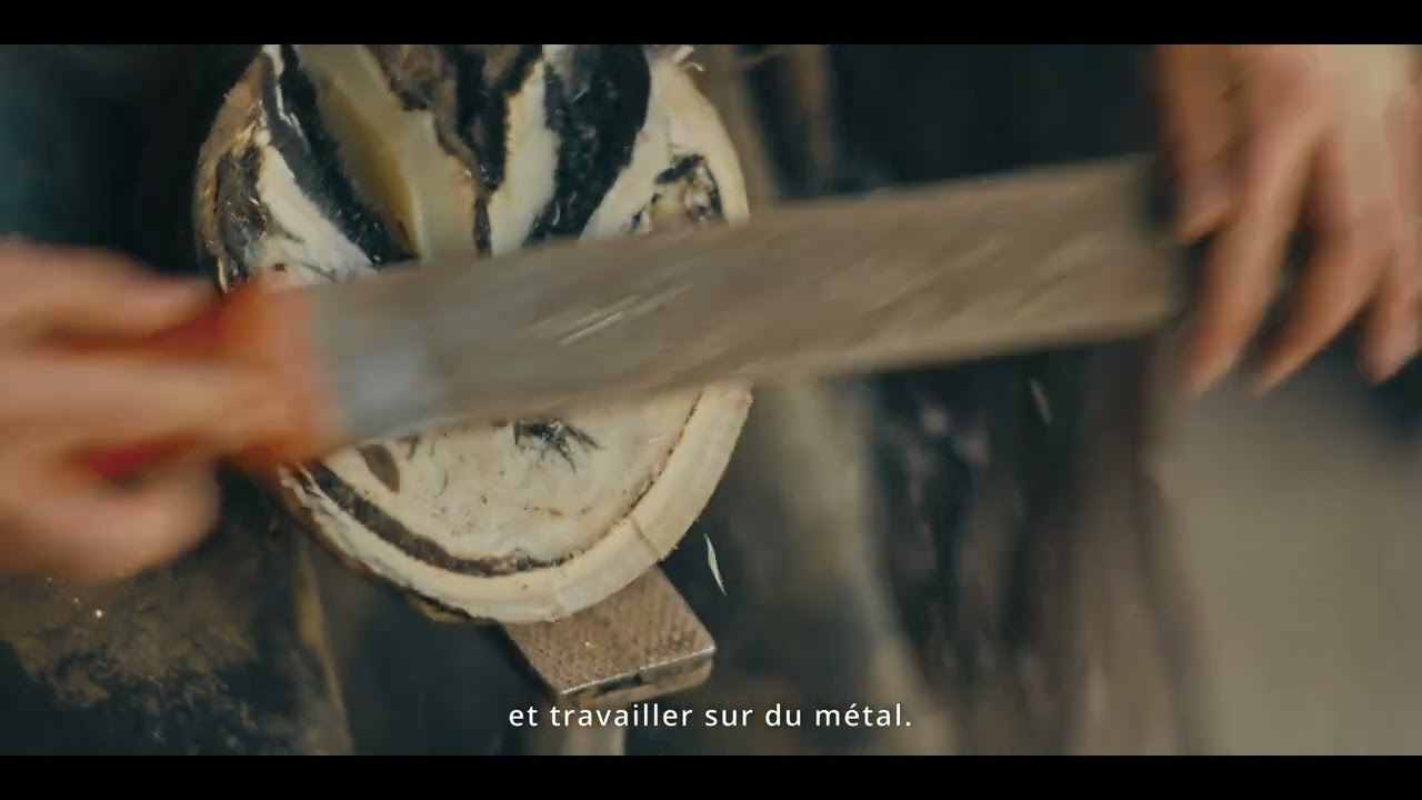 VIS TA PASSION Métier Maréchal Ferrant