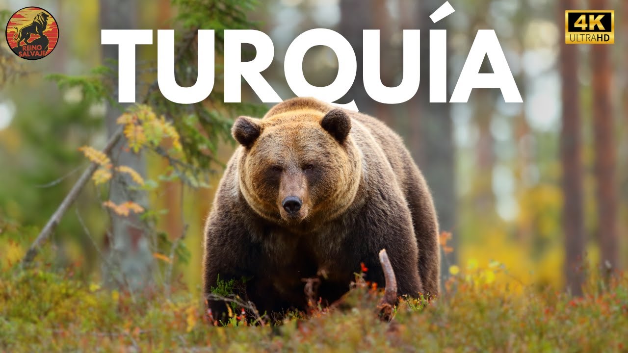 TURQUÍA - Los Misterios de la Tierra Salvaje