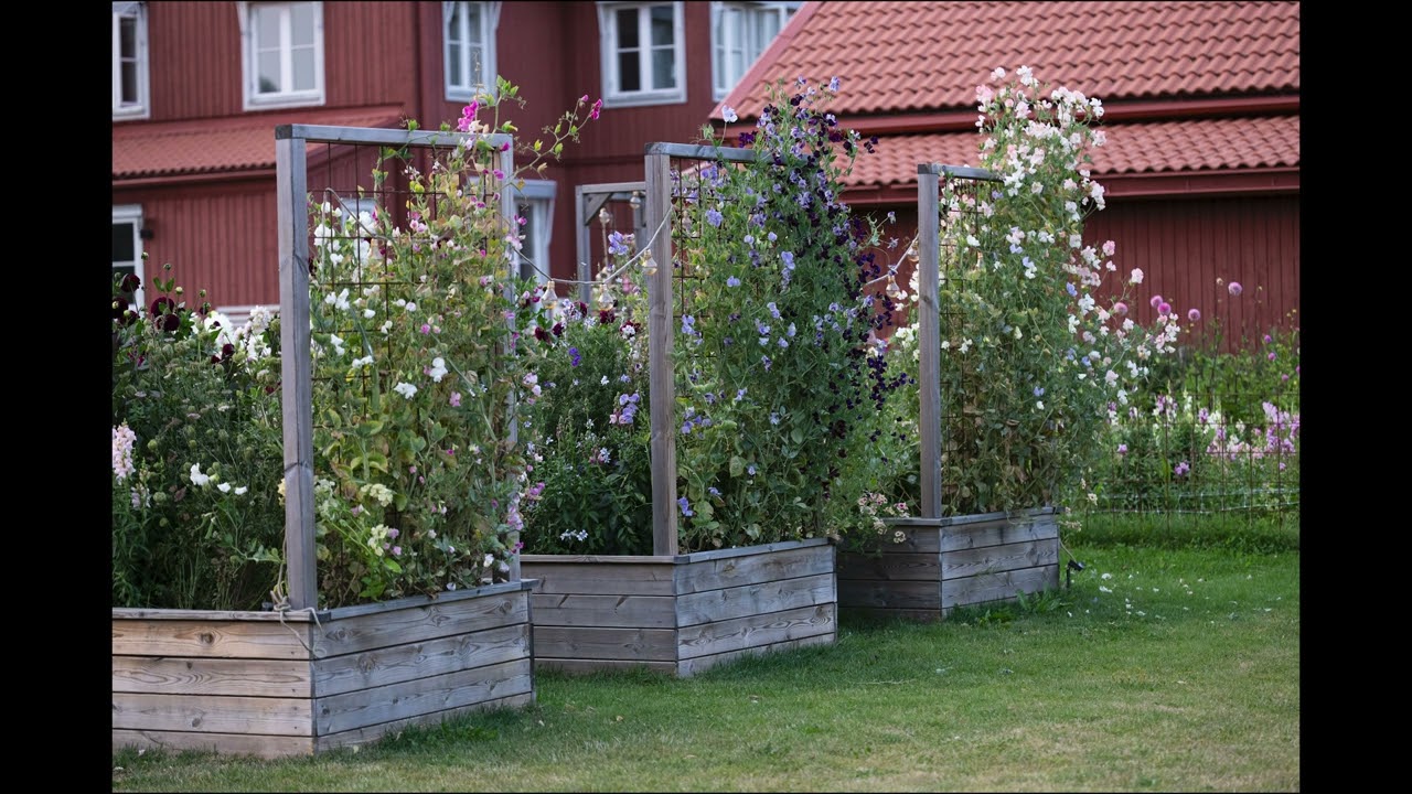 Våra Trädgårdar – med trädgårdsarkitekt Ulrika Levin. Avsnitt 10, Maria Bolinder