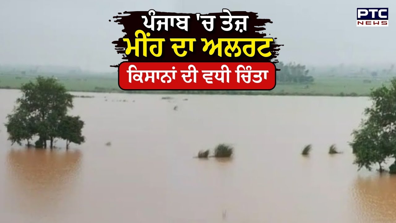 Punjab Weather : Harike Head Works ਦੇ ਨੇੜਲੇ ਪਿੰਡਾਂ 'ਚ ਵਧਿਆ ਹੜ੍ਹਾਂ ਦਾ ਖ਼ਤਰਾ ,  ਕਿਸਾਨਾਂ ਦੀ ਵਧੀ ਚਿੰਤਾ