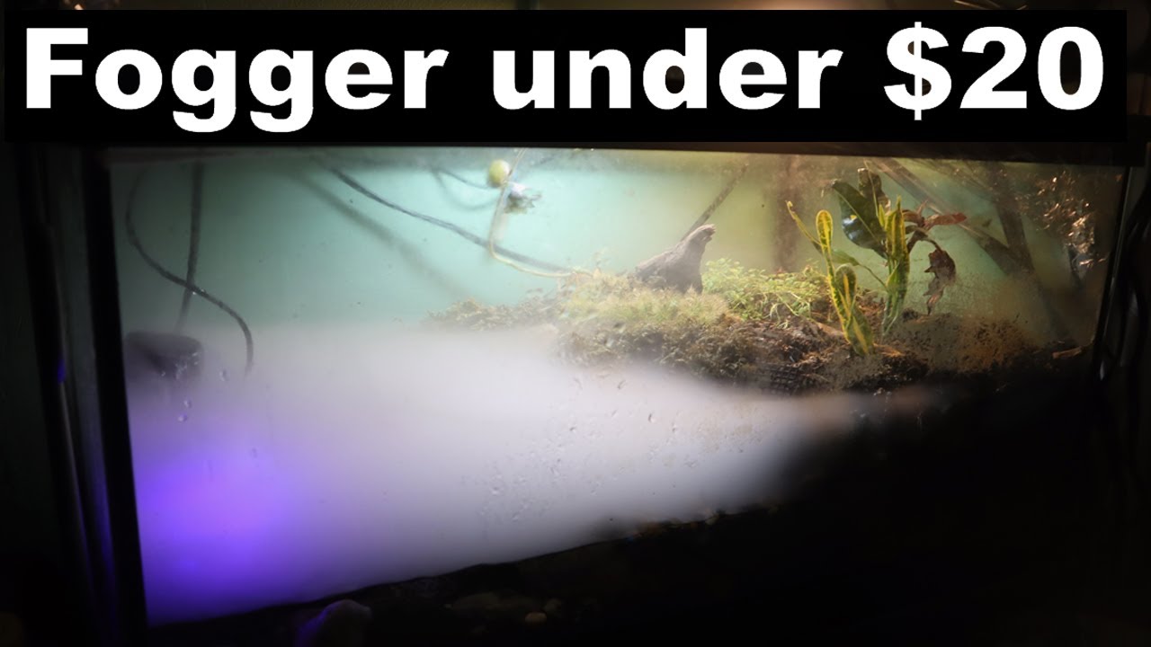 Diy Fogger For Frog Tank Or Vivarium