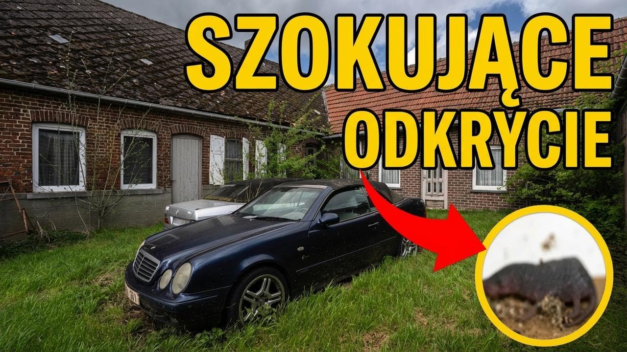 Coś wciąż żyje w tym opuszczonym domu!