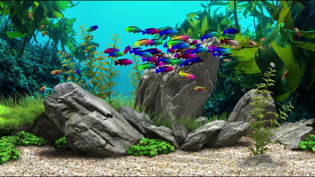 2 hours Dream Aquarium Relaxing