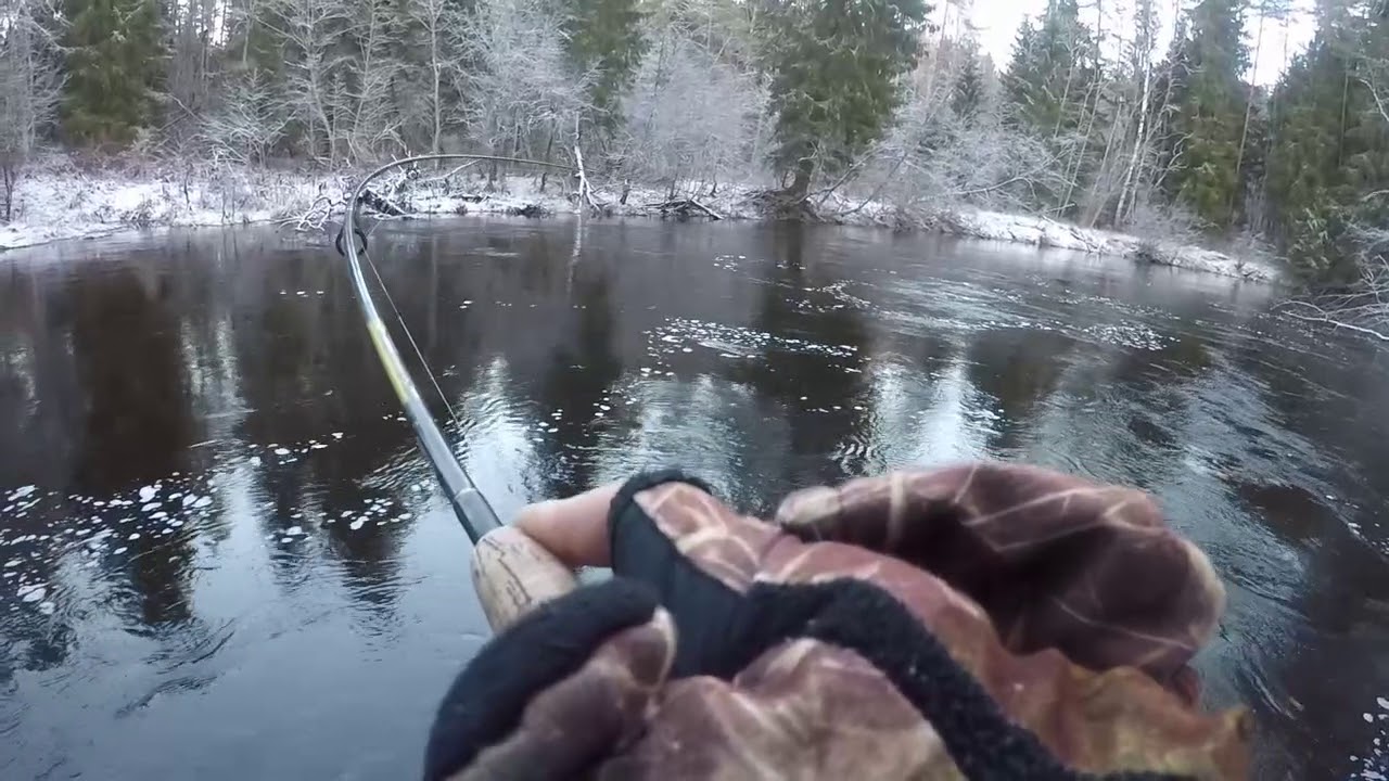 Kas ķerās Braslā? Taimiņu cope.
