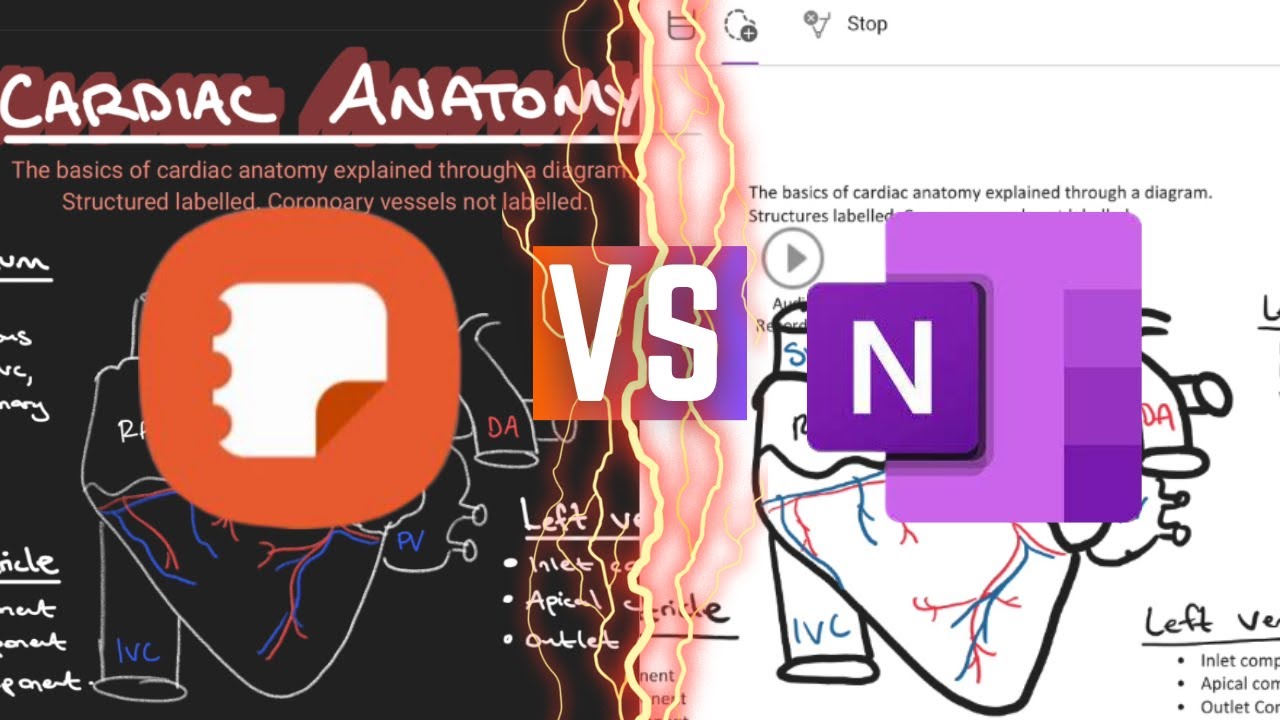 Samsung Notes против OneNote | Сравнение возможностей заметок на Samsung Tab S7+