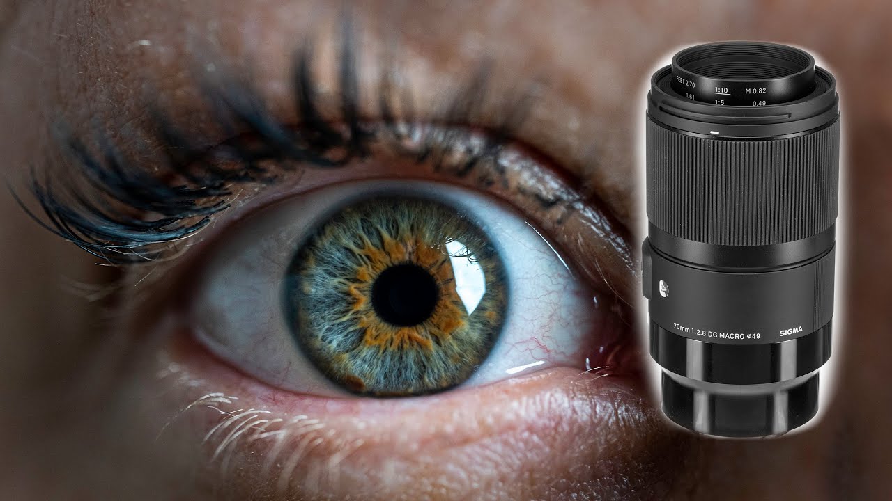 Sigma 70mm F2.8 DG Macro Review - Best Budget Macro Lens?