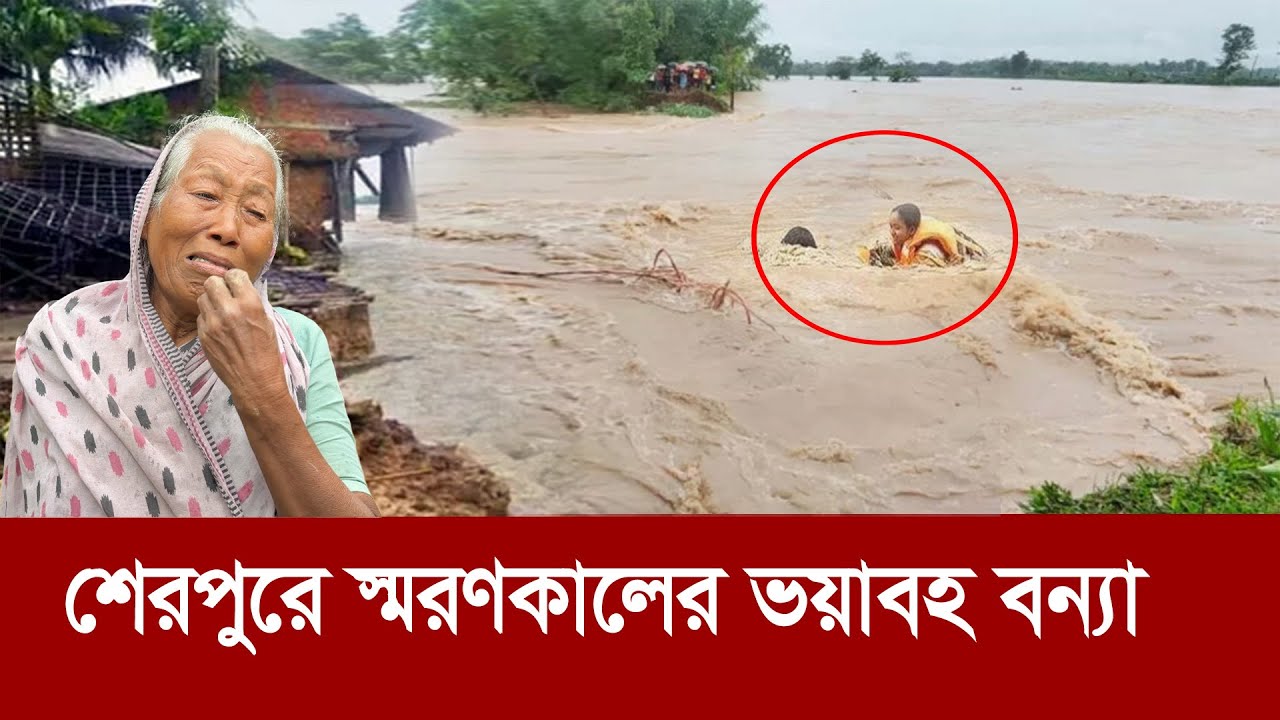 শেরপুরে স্মরণকালের ভয়াবহ বন্যা !! তছনছ উপজাতিদের বসতভিটা !! Around 100 villages flooded in Sherpur
