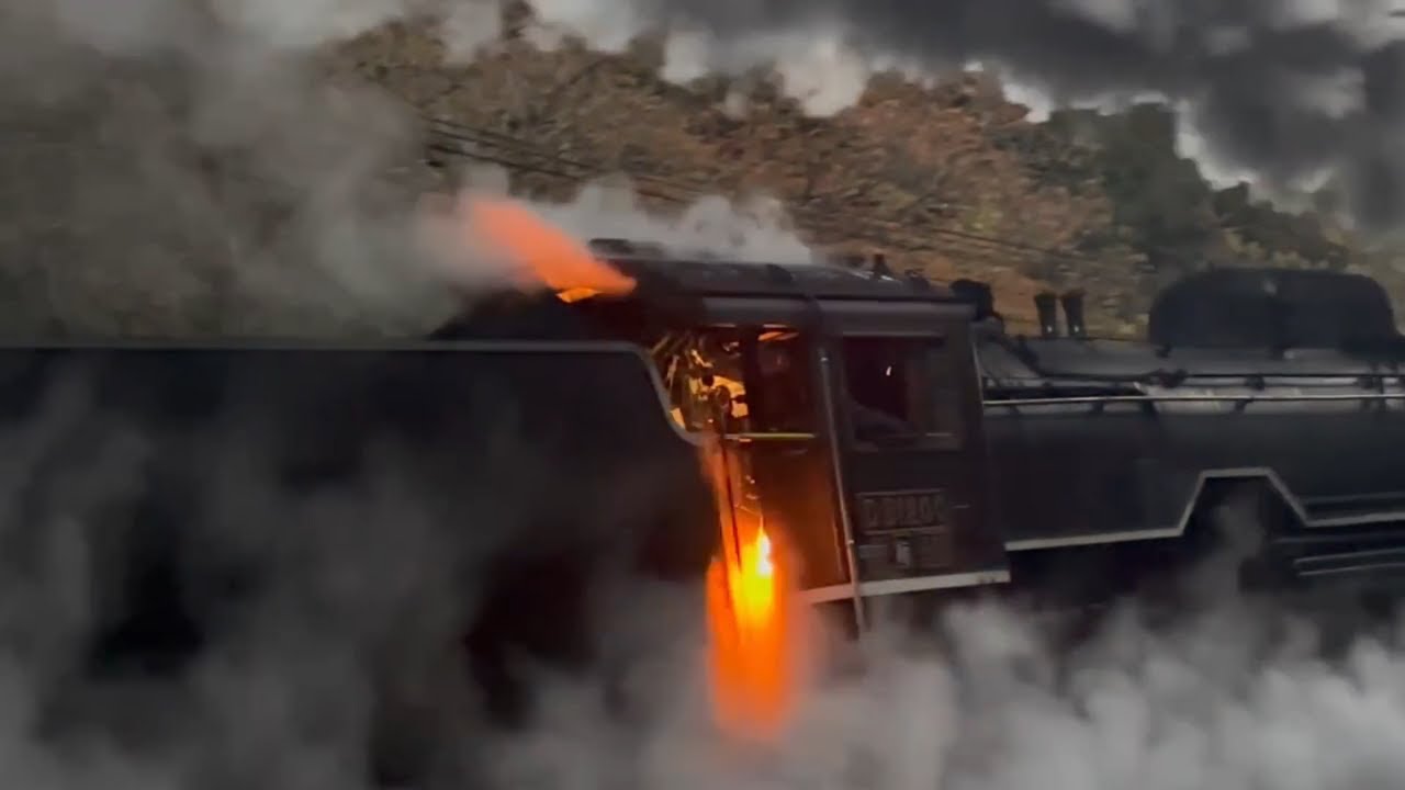 【2025.11.29＆30】 秋から冬へ　D51-200号機 【SLやまぐち号】