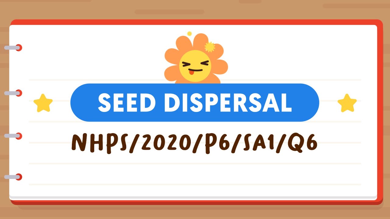 PSLE SCIENCE MADE SIMPLE EP79 | Seed Dispersal | What Will These Weeds Compete For? 🥊