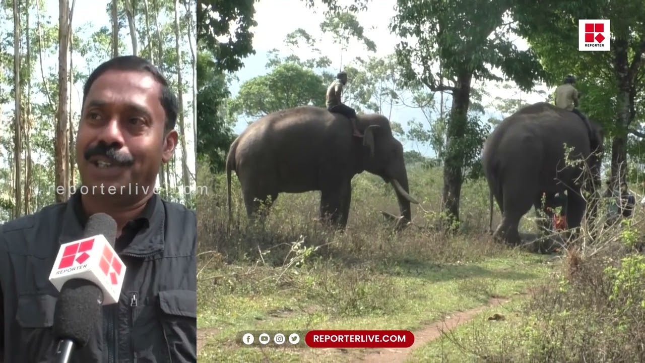'പത്ത് വർഷത്തെ കഷ്ടപ്പാടാണ് കാട്ടാനയെ കുങ്കിയാക്കി മാറ്റുക എന്നുള്ളത്'; ഡോ അരുണ്‍ സക്കറിയ