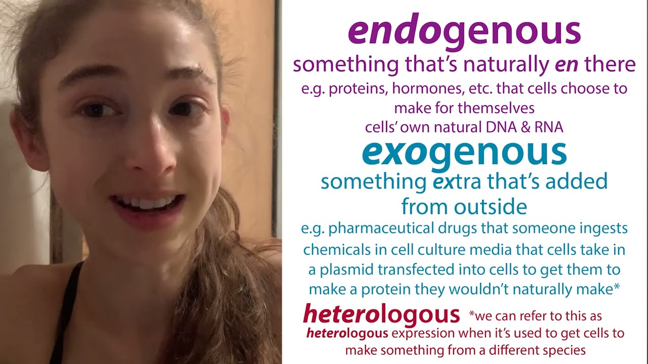 Endogenous vs. Exogenous - terminology, techniques, and biochemistry experimental considerations