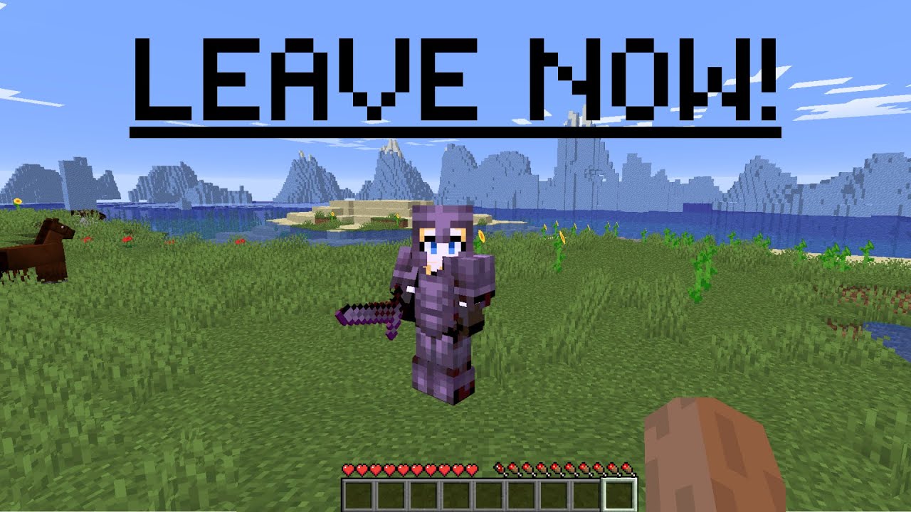 Joining Random People's Minecraft Servers