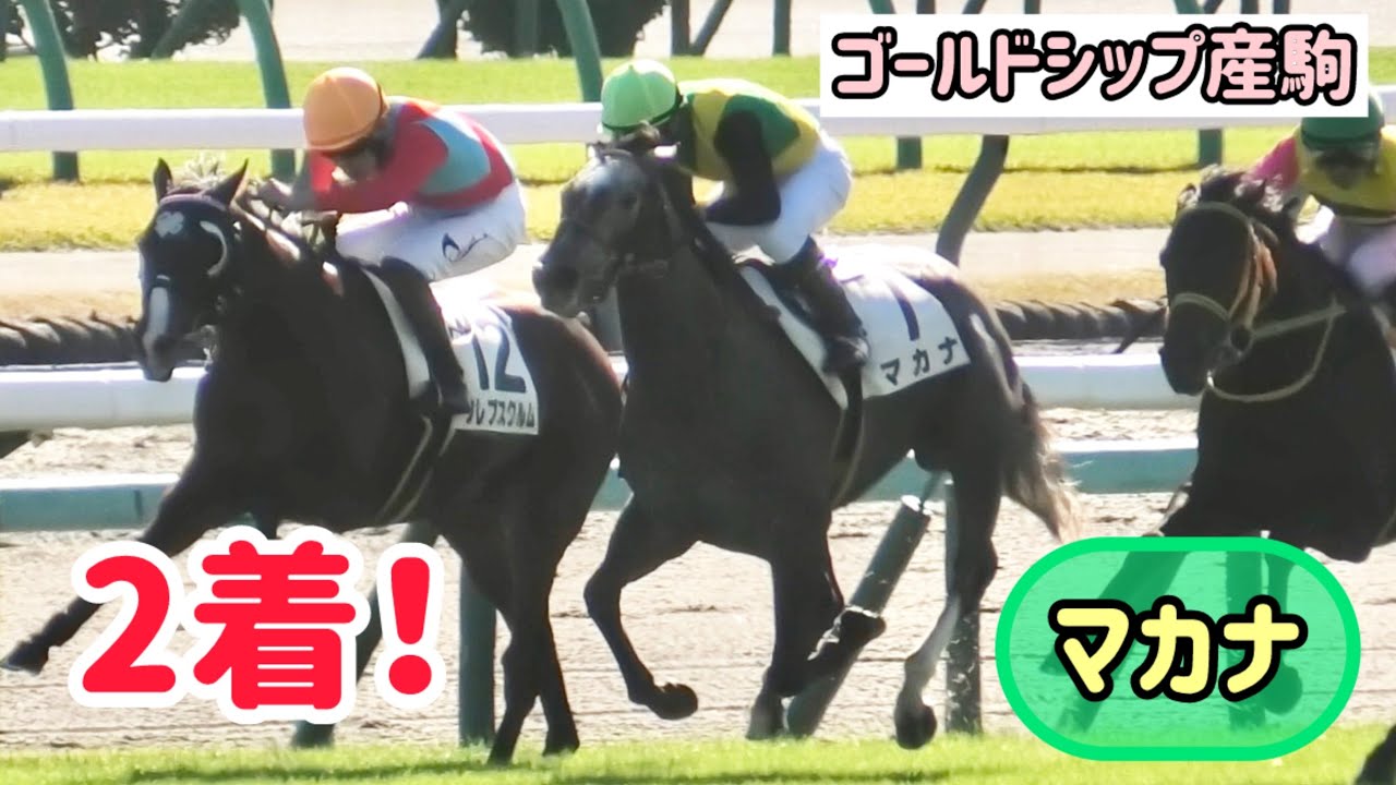 【ゴールドシップ産駒】2回加速のクセつよレースをしちゃうマカナちゃん😳