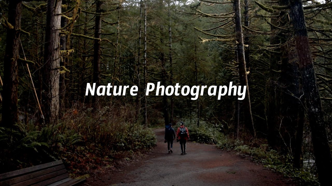 Washington Nature Photography | Photo Vlog 05