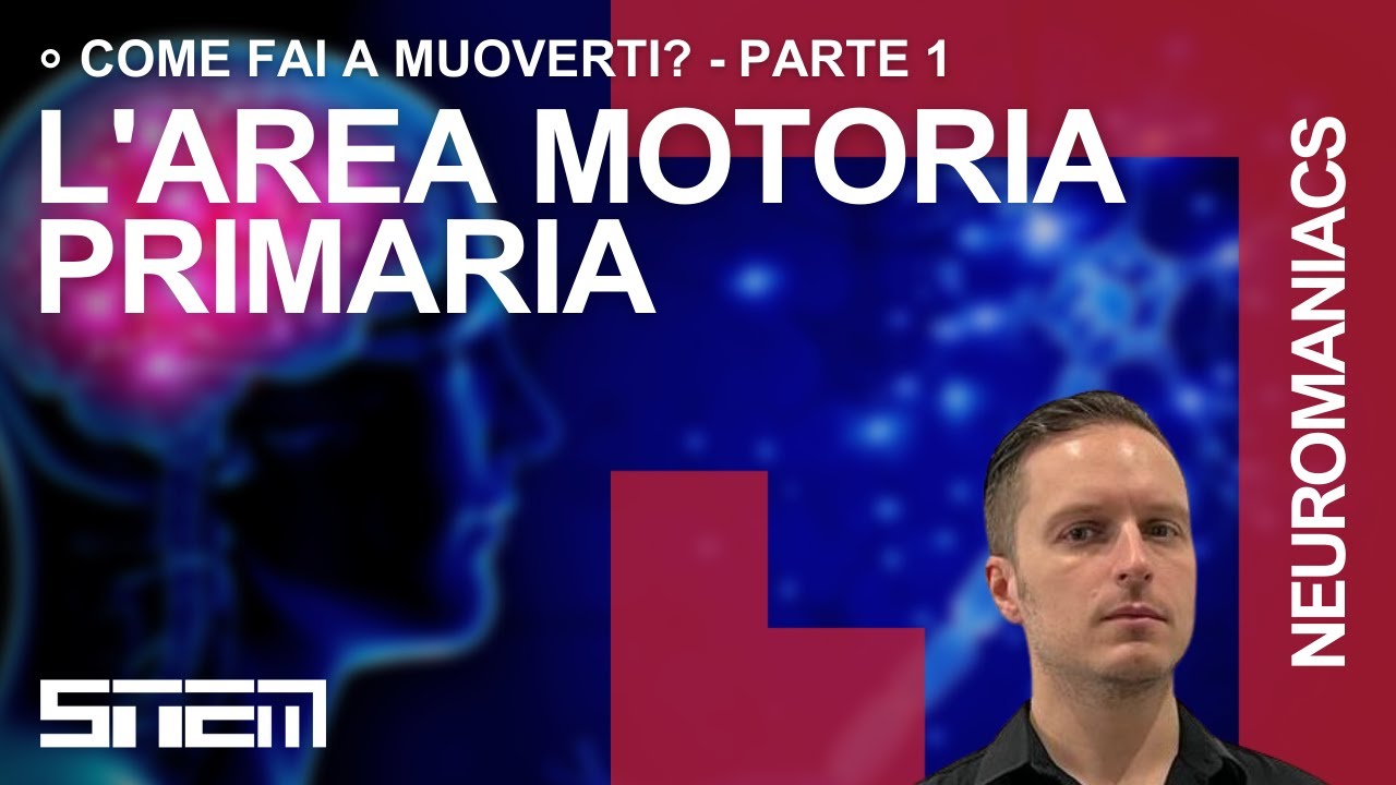 Come fai a muoverti? Pt. 1: muscoli, midollo spinale e Area Motoria Primaria