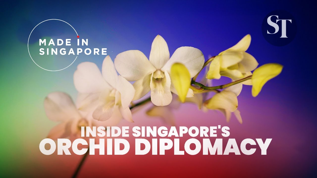 What is Orchid Diplomacy? Inside Singapore&rsquo;s soft power initiative | Made in Singapore | SG60