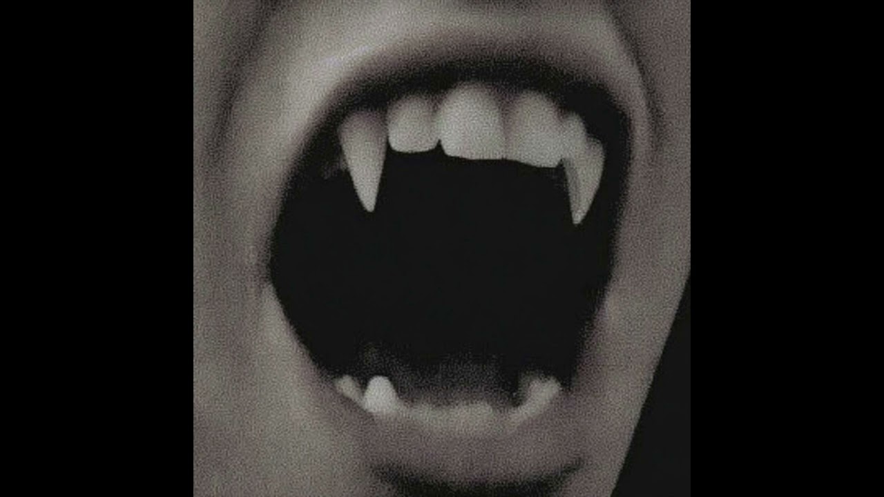 Vampire Moon - Darkness Devotion