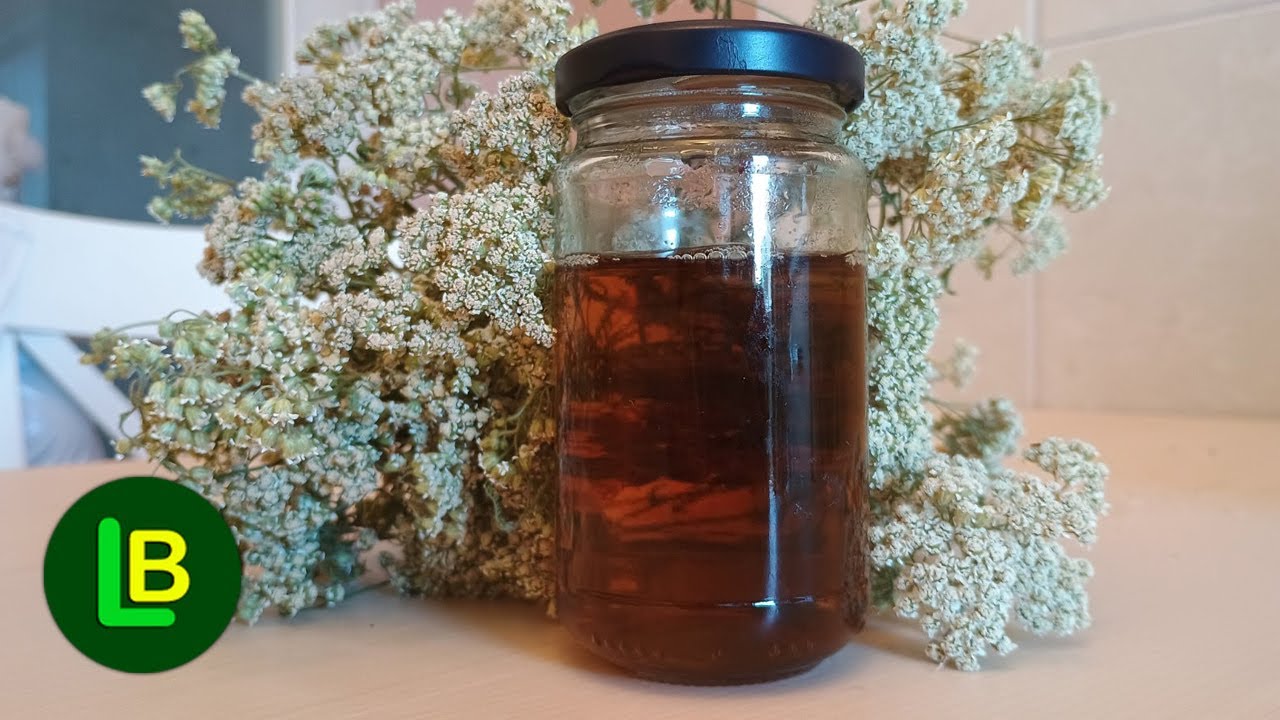 Самые полезные капли в мире. Настойка тысячелистника. Легко приготовить