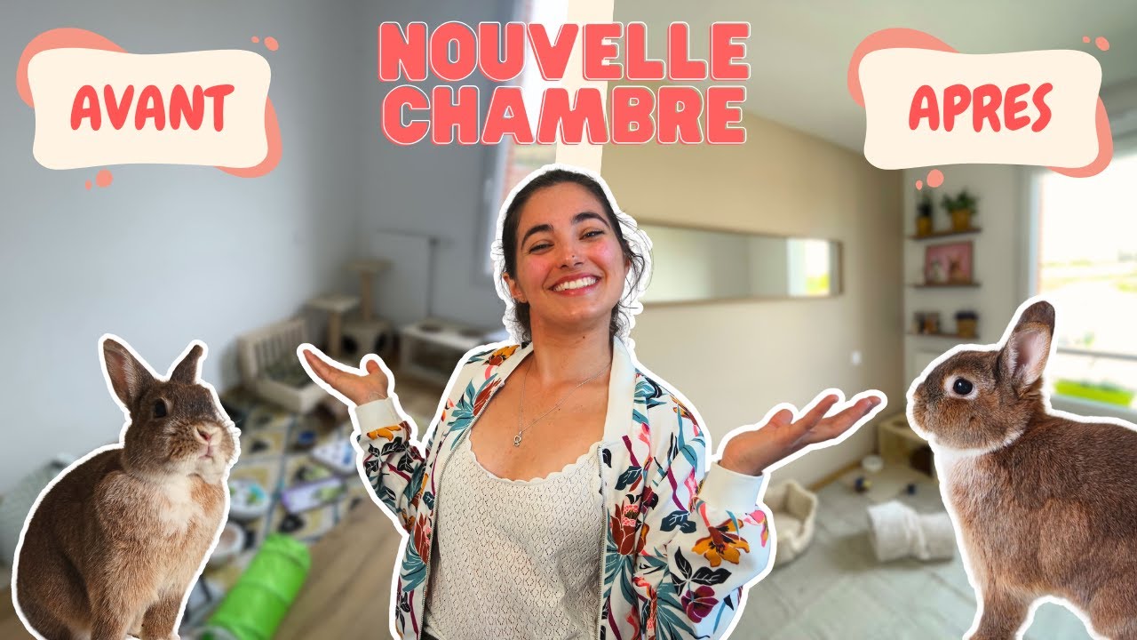 Avant / Après - La chambre INCROYABLE ✨ de mon lapin
