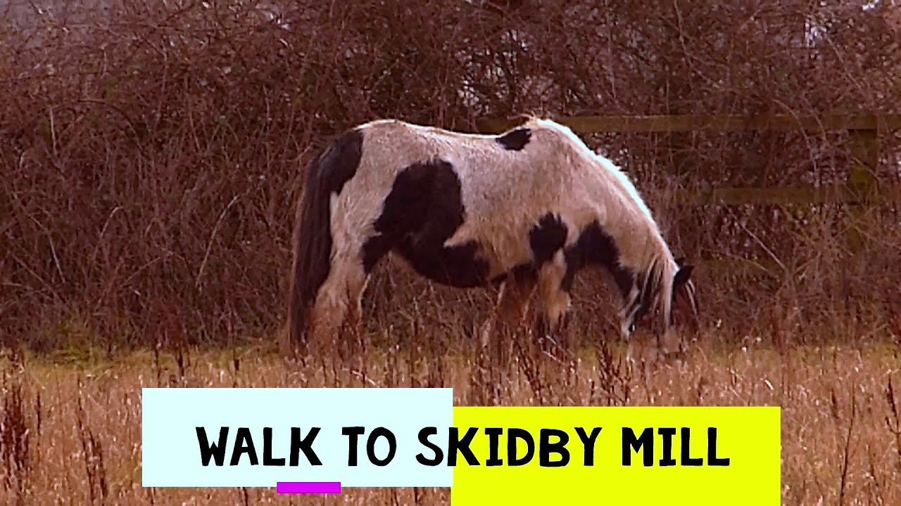 Walk to the beautiful Skidby Mill