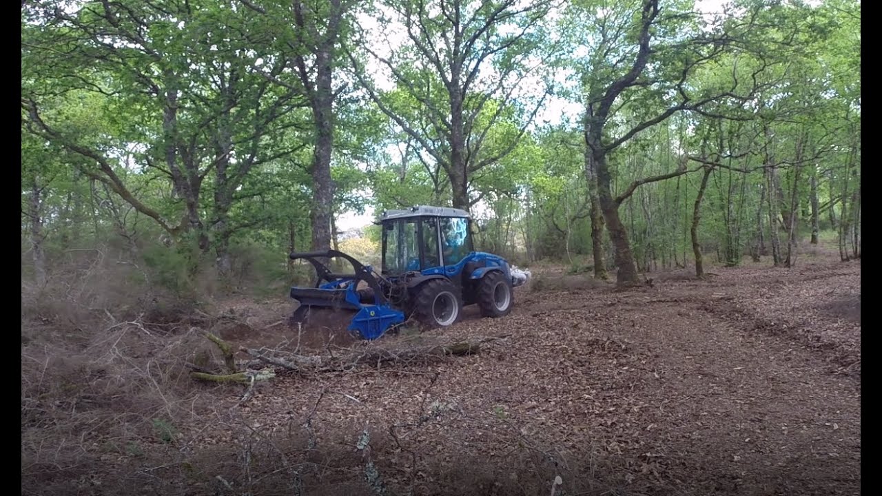 SEGUIMOS LIMPIANDO ZONAS DE LA FINCA CON TRACTOR BCS VOLCAN REVERSIBLE Y TRITURADORA FORESTAL