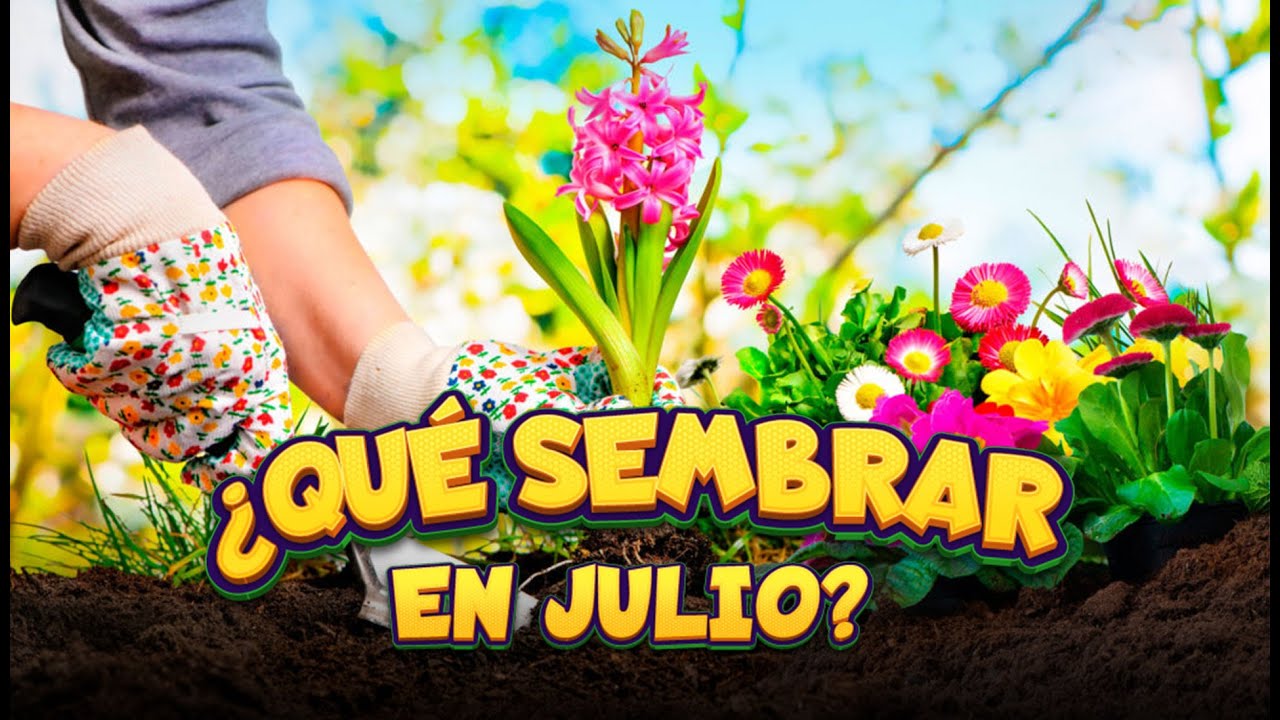 ⭐Calendario de Siembra 2023 Que sembrar en JULIO para Huerto de Verano e Invierno