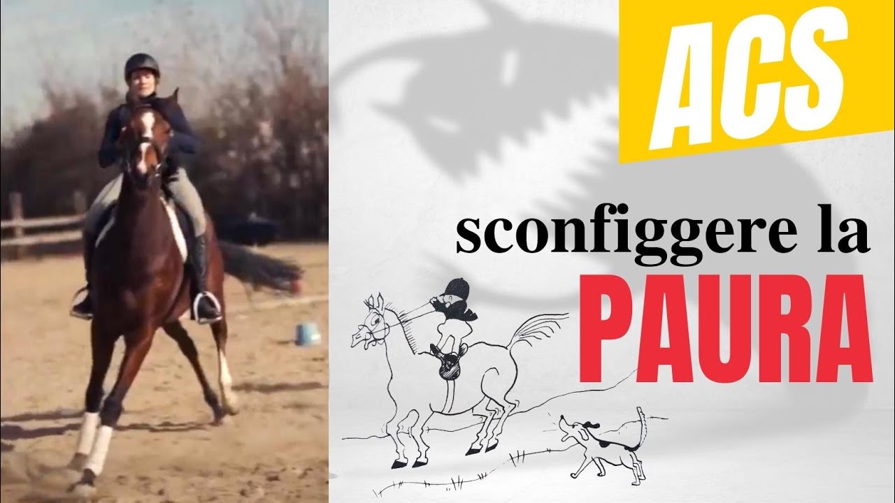 Equitazione: Cavalli paurosi‼️ Come comportarsi? 😰