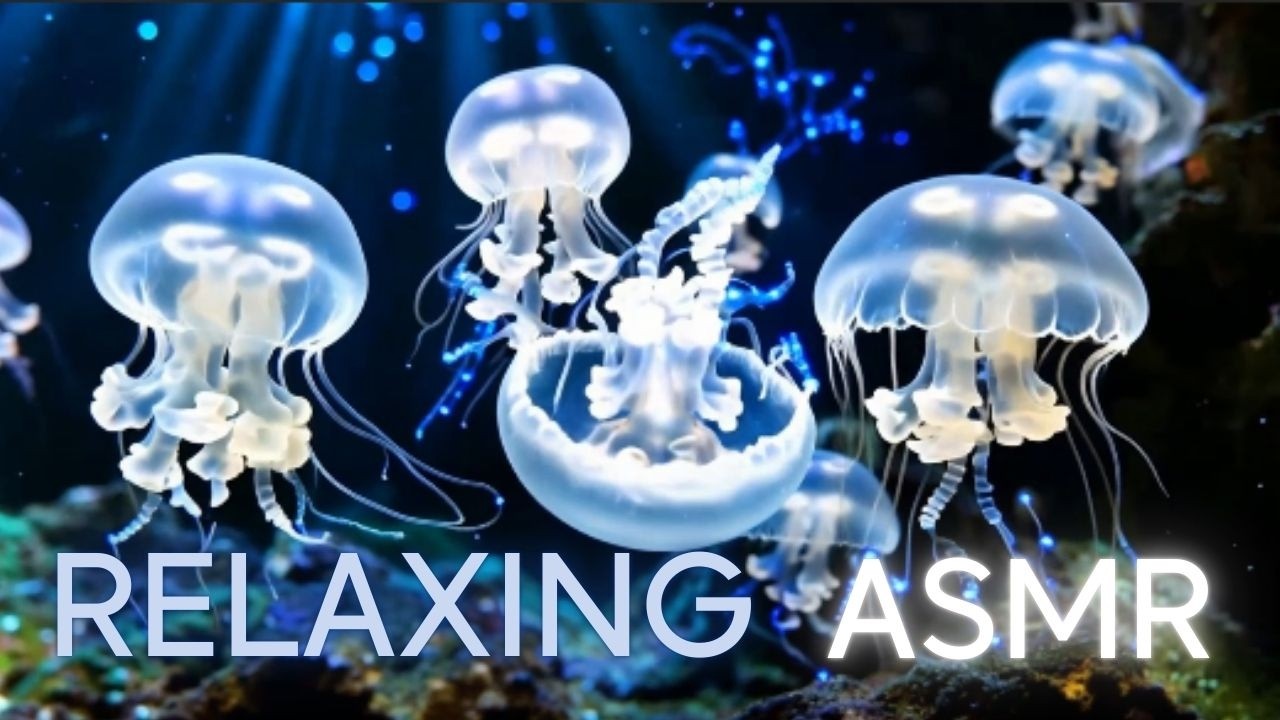 ASMR - Relaxation Profonde pour Dormir..  Ambiance sous l'Océan 🌊🐠