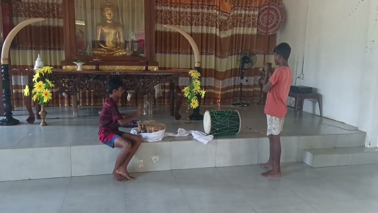 පුංචි කො⁣ල්ලො දෙන්නගේ හැකියාව කොහොමද?