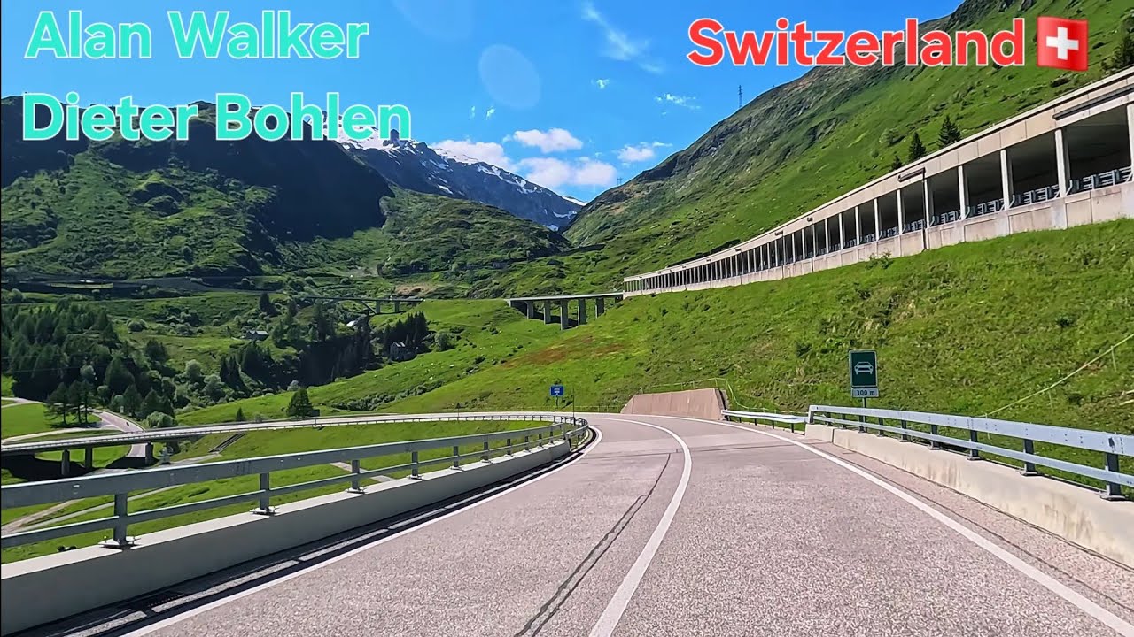 Forever Young 🫶 Alan Walker & Dieter Bohlen Love Songs 🫶