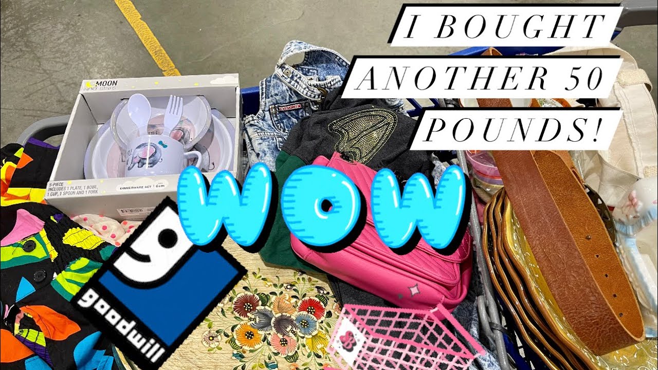 Finding Profit at the Goodwill Bins! Turning $60 into $1,000! I bought 50 pounds for Resale!