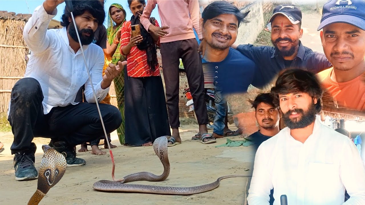 दूसरी बार हरीपुर चकपाली गॉव में कोबरा सांप🐍 का खतरनाक मंजर देखने को मिला ||