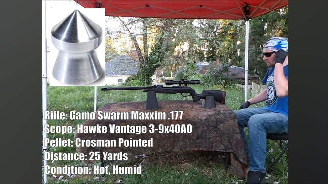 Gamo Swarm Maxxim .177 Target Practice