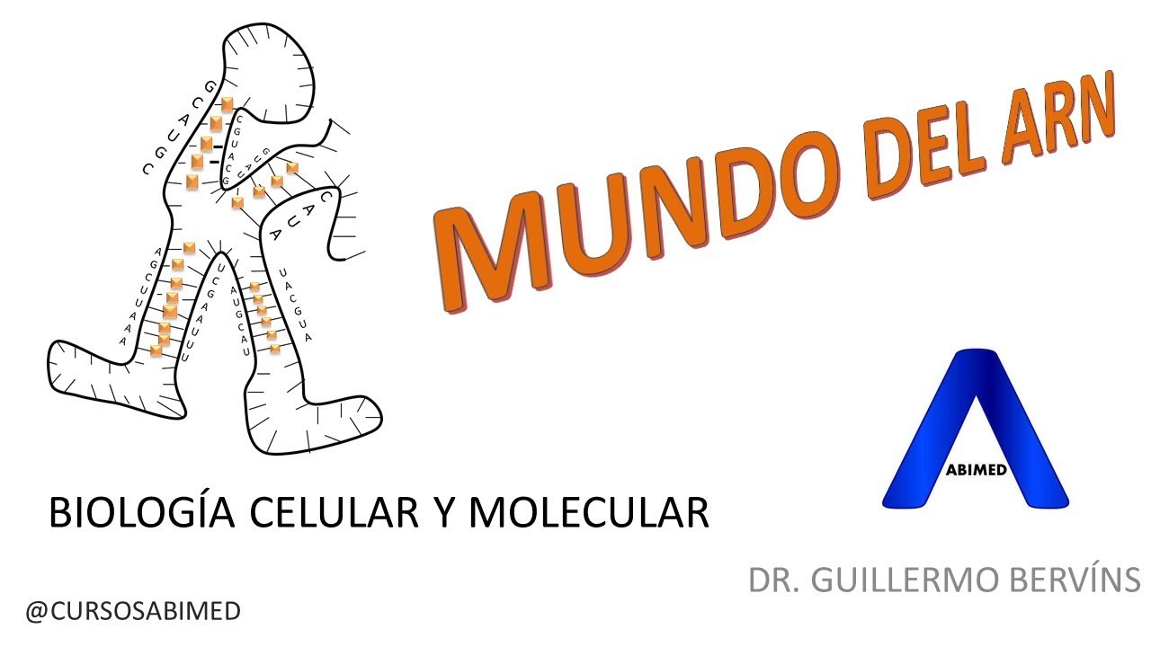 &iquest;C&oacute;mo fue la primera c&eacute;lula? l El mundo del ARN, Alexander Rich l Biolog&iacute;a Celular y Molecular