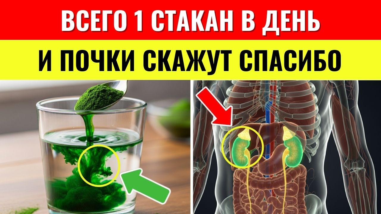 После 60? Эти 8 напитков могут очистить почки, снизить креатинин и помочь избежать диализа