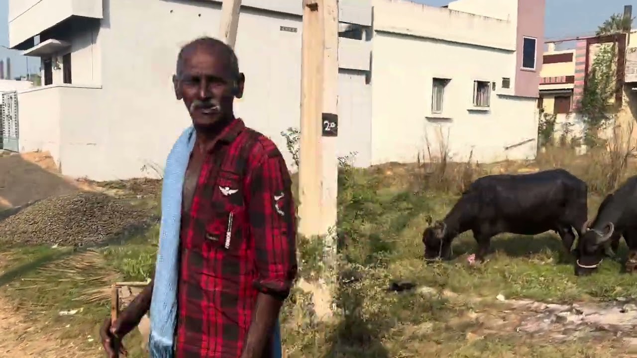 VLOG-3 ( Going to my friends wedding) #wedding #agriculture #vlog #positivevibes #motivation
