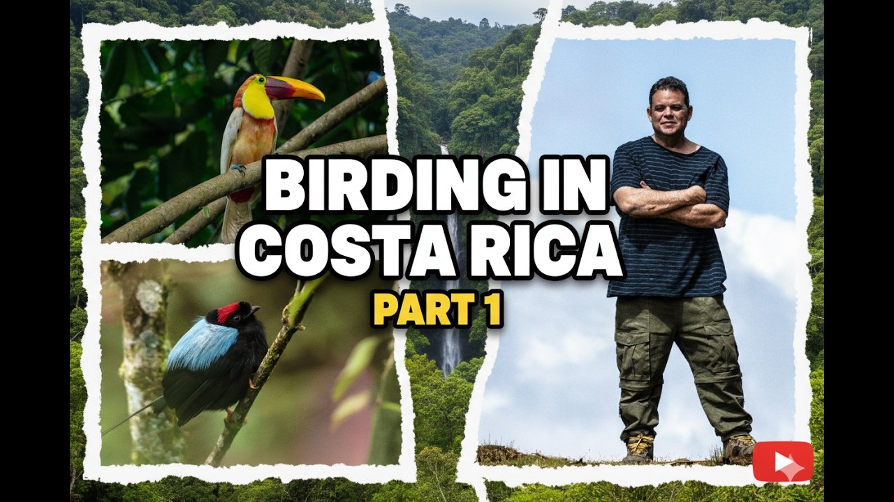 Birding in Costa Rica Part 1