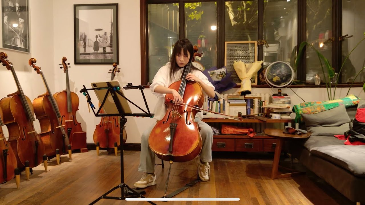 Elgar - Cello Concerto in E minor Op.85, First Movement 