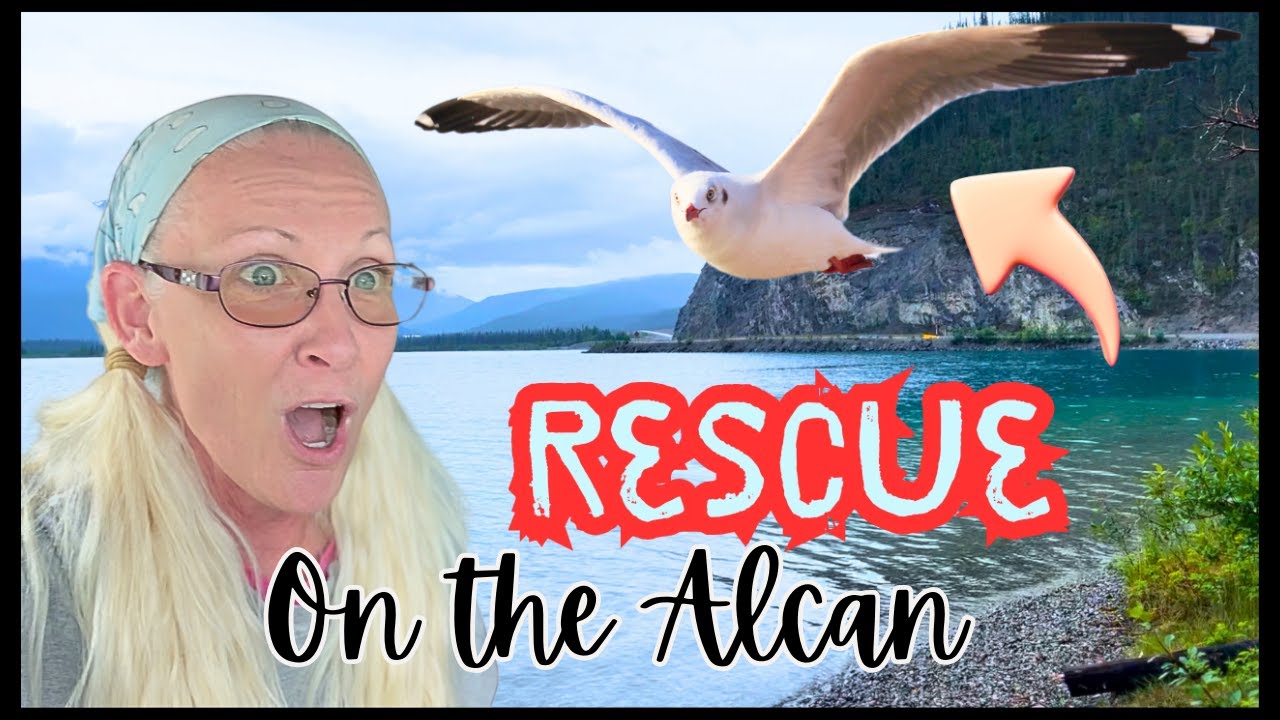 UNEXPECTED Rescue on The Alcan  / Alaska Highway Road Trip Episode #3