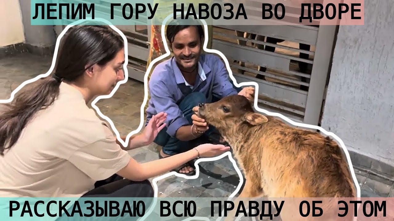 ЗАЧЕМ НАМ ЕЩЕ И КОРОВА В ДОМЕ? ЖИЗНЬ ВНУТРИ ИНДИЙСКОЙ СЕМьИ! 