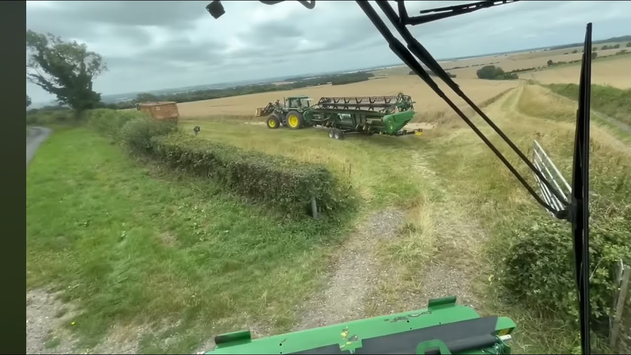 Harvest 2024! Episode #7 Harvesting milling wheat | Needs more sunshine