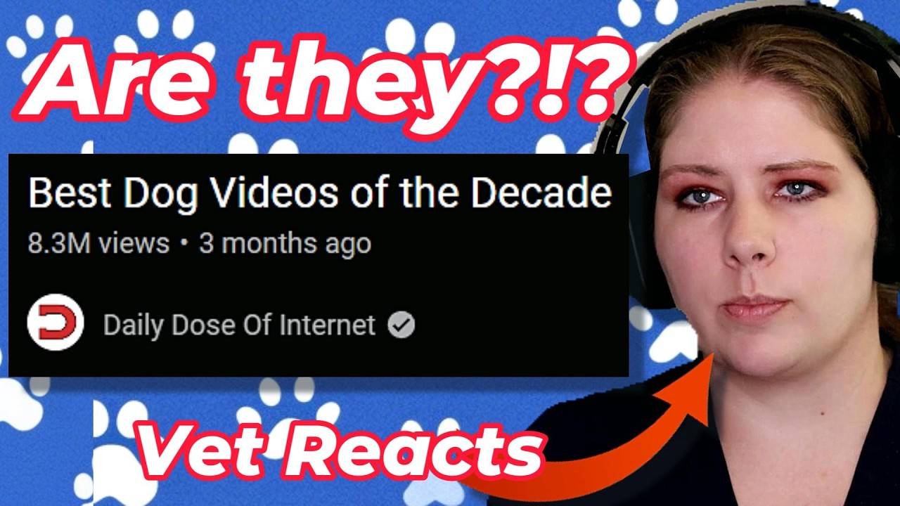 Vet Reacts to 'Best' Dog Videos of the Decade!