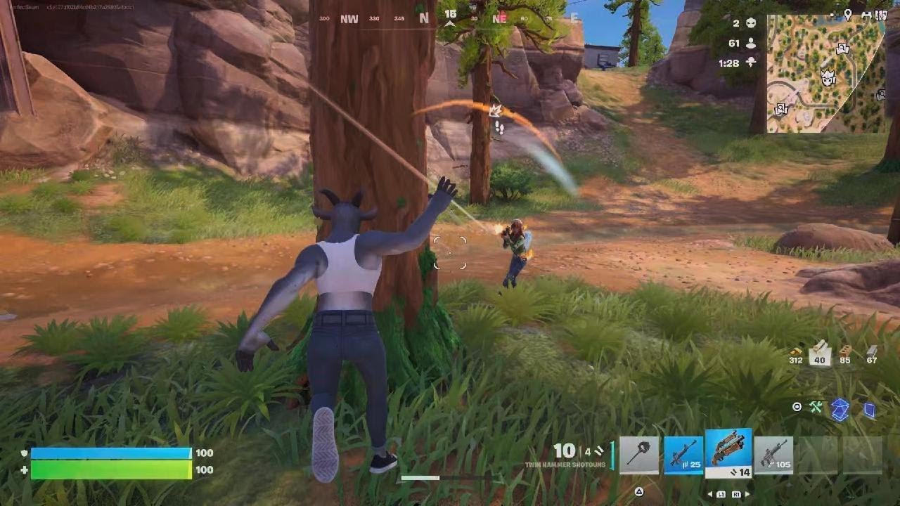 Fortnite battle Royale Victory