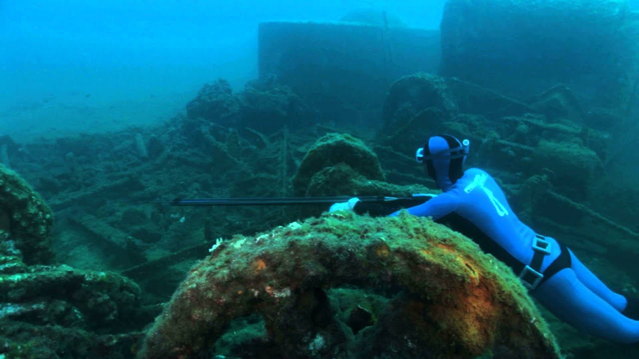 PIERRE FROLLA, carnets de chasse sous-marine