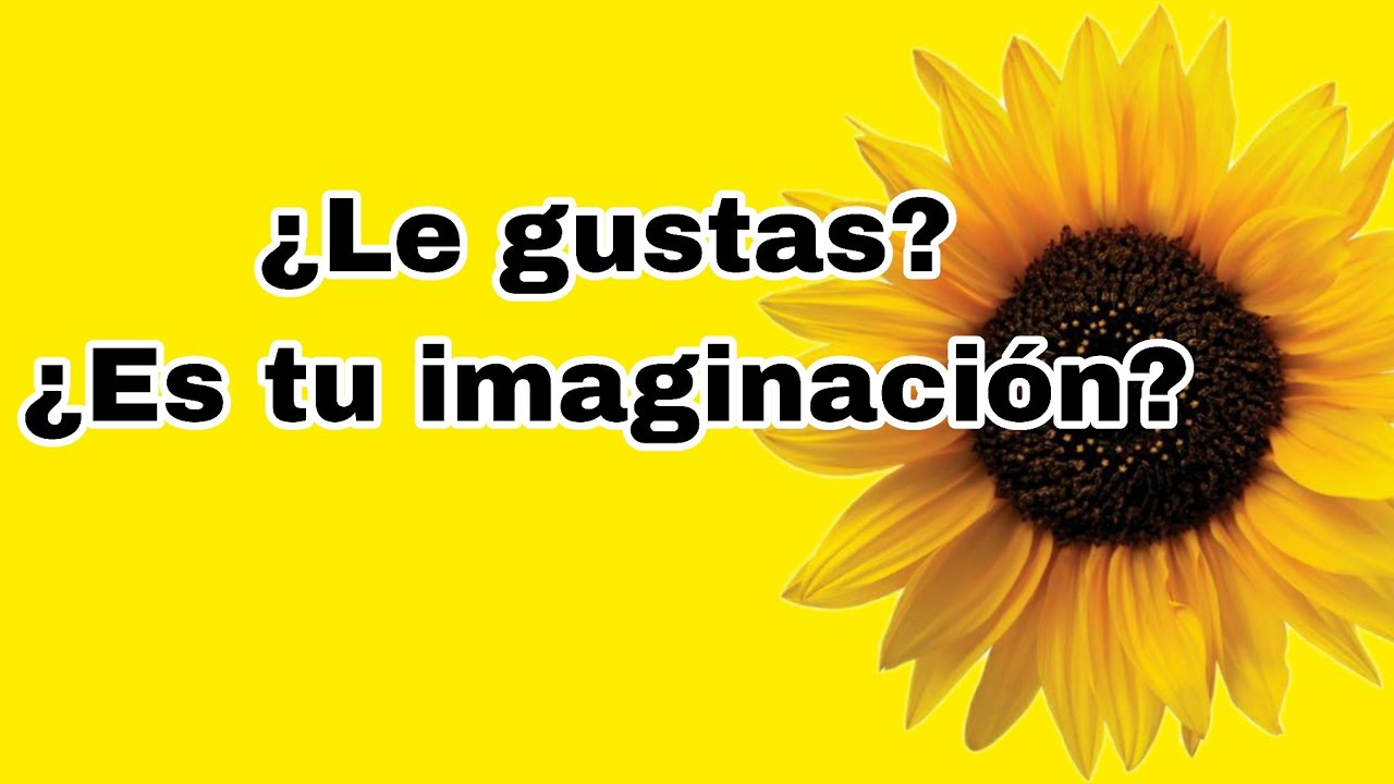 &iquest;Se siente atra&iacute;do por ti? 😍🤩 Lectura Interactiva