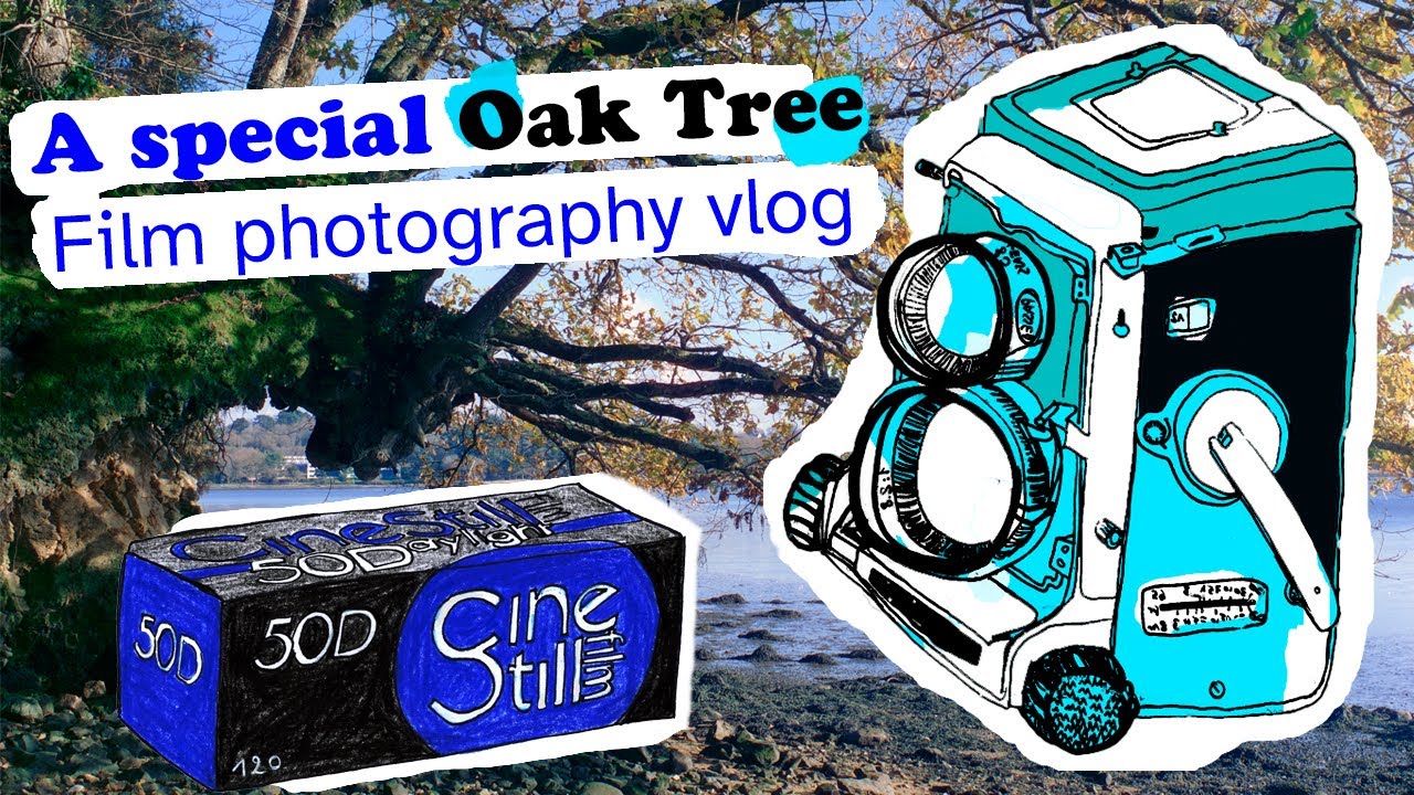 A special Oak Tree | Film photography Vlog with Mamiya C33