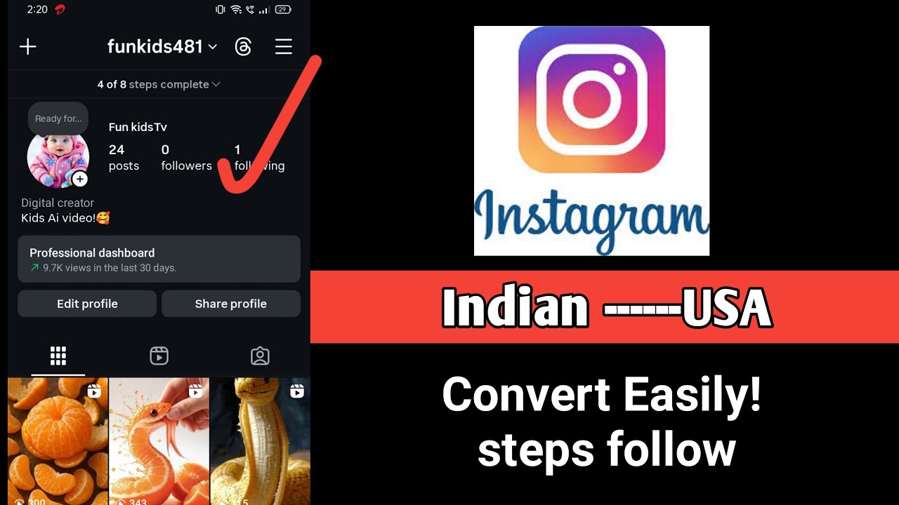 instagram page convert into USA instagram professional page | how to convert indian to usa instagram
